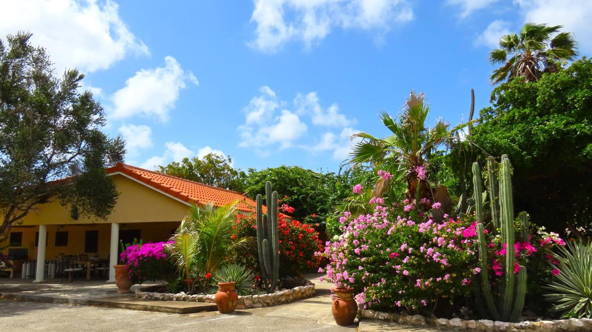Lagun Blou Resort Curacao Zewnętrze zdjęcie