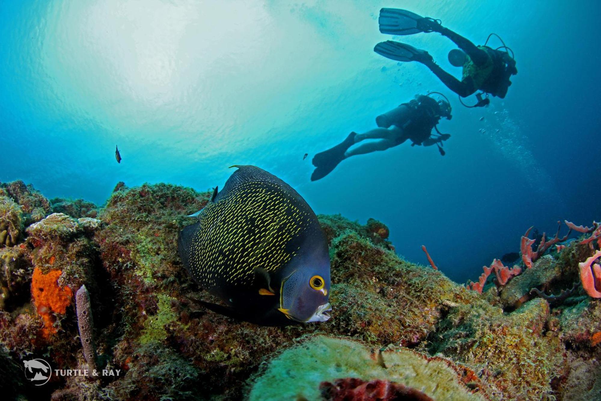 Lagun Blou Resort Curacao Zewnętrze zdjęcie