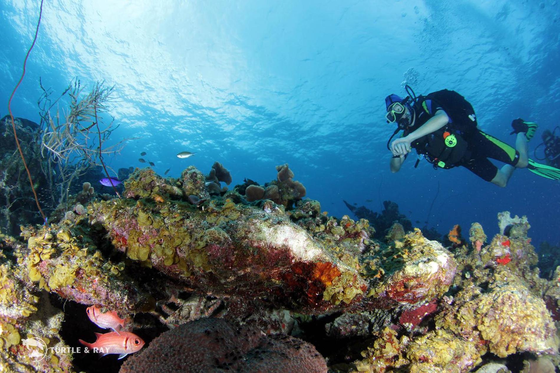 Lagun Blou Resort Curacao Zewnętrze zdjęcie
