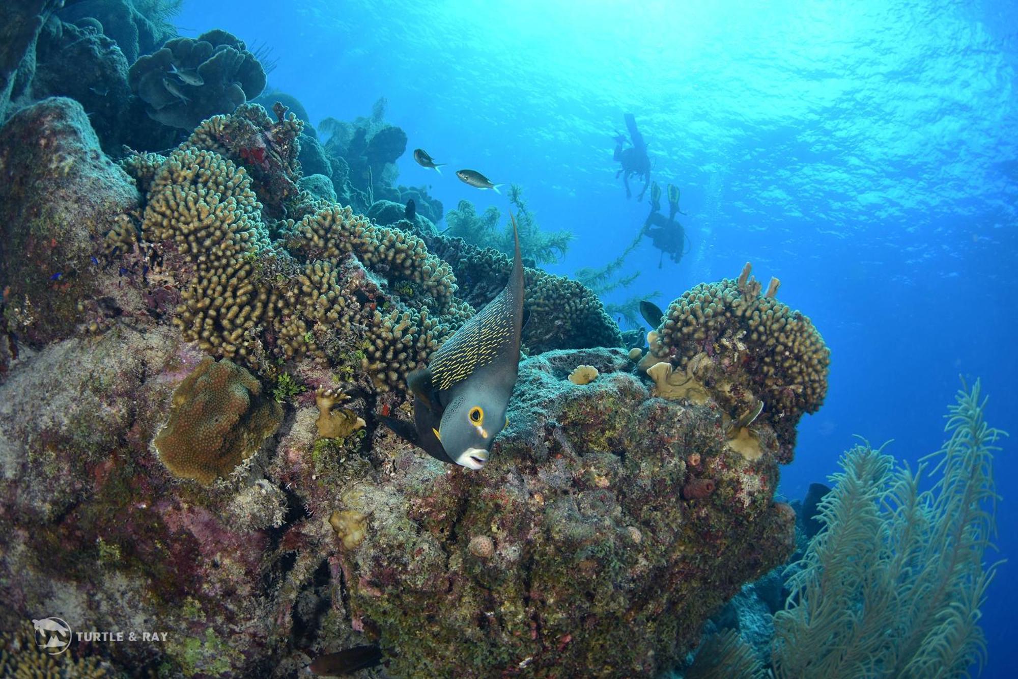 Lagun Blou Resort Curacao Zewnętrze zdjęcie