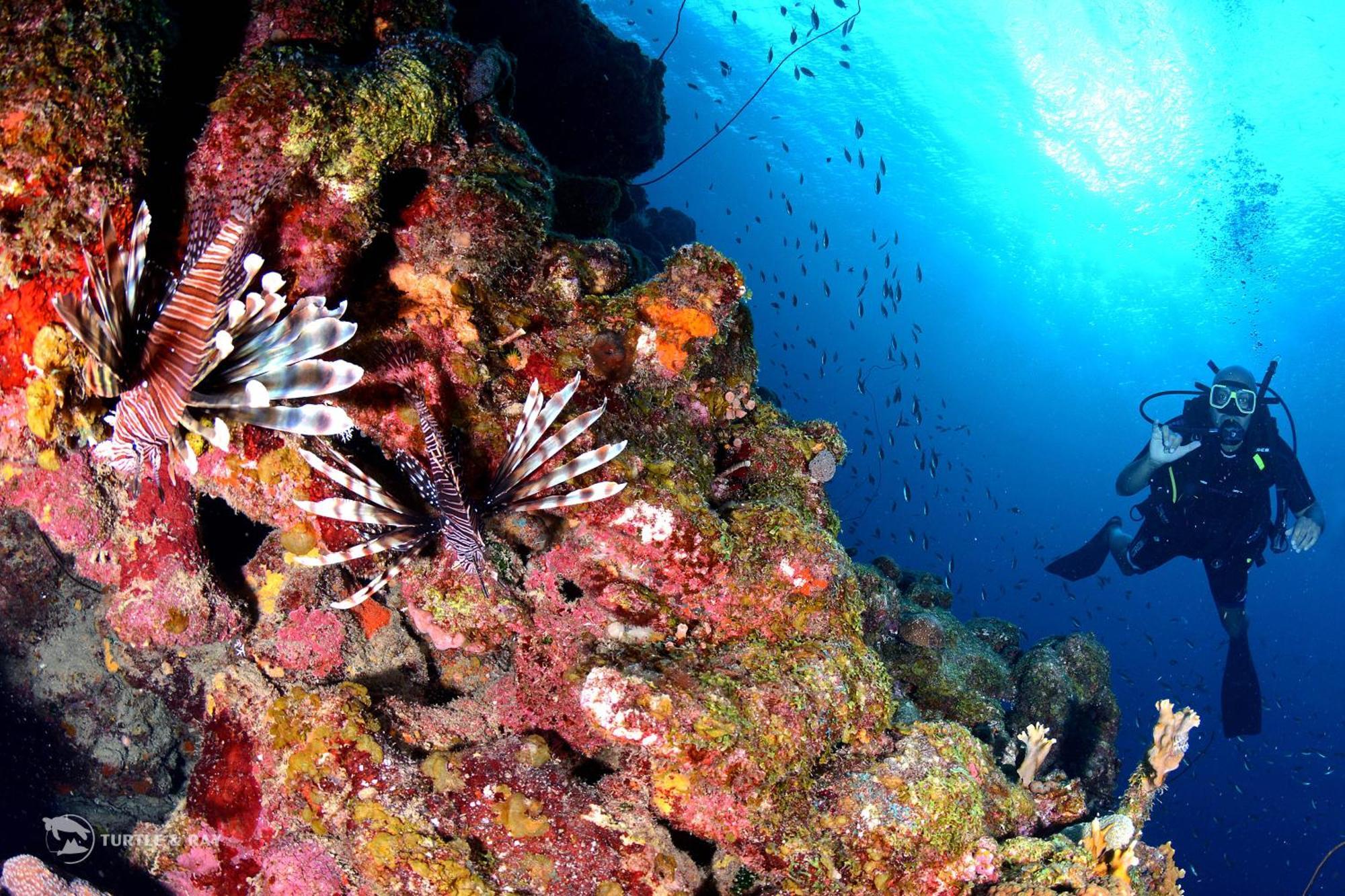 Lagun Blou Resort Curacao Zewnętrze zdjęcie